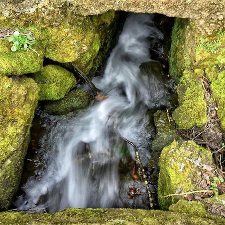Aldeia Vicosa Quinta Do Moinho Turismo De Natureza المظهر الخارجي الصورة