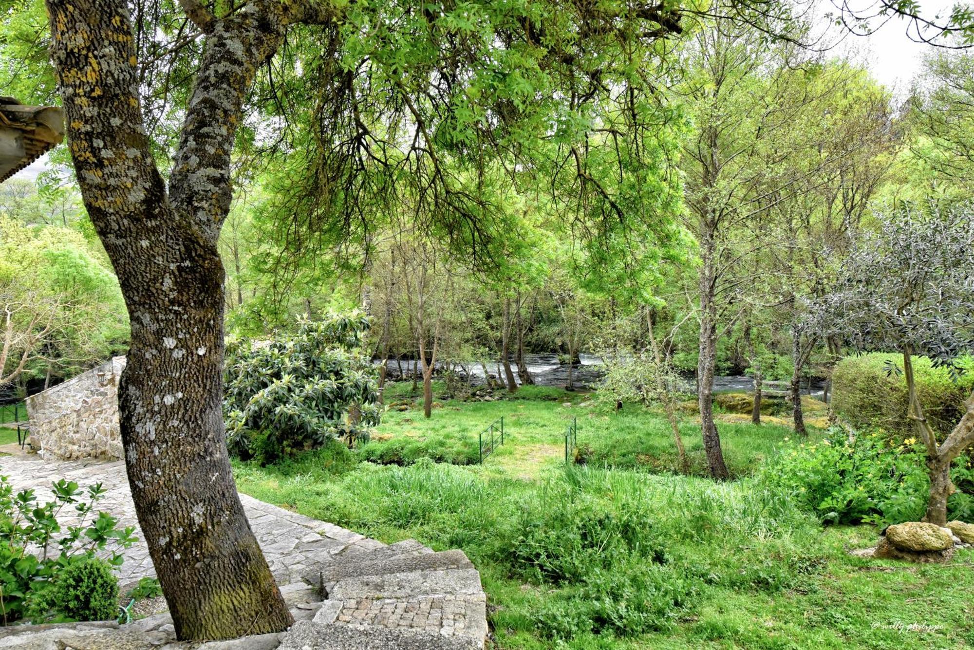 Aldeia Vicosa Quinta Do Moinho Turismo De Natureza المظهر الخارجي الصورة